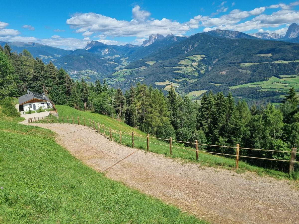 Alone In Chalet With View On Dolomites ヴィッランドロ エクステリア 写真