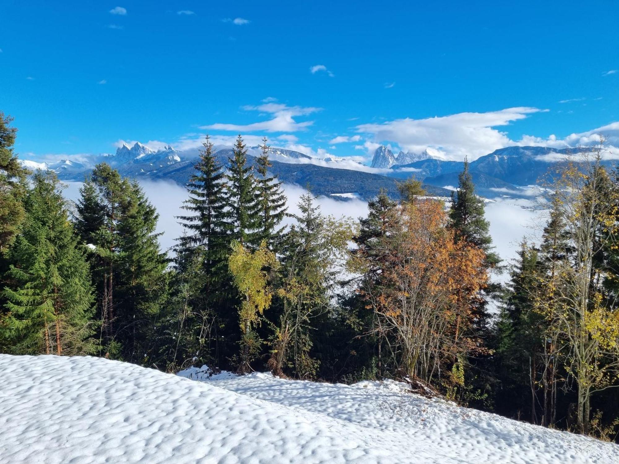 Alone In Chalet With View On Dolomites ヴィッランドロ エクステリア 写真