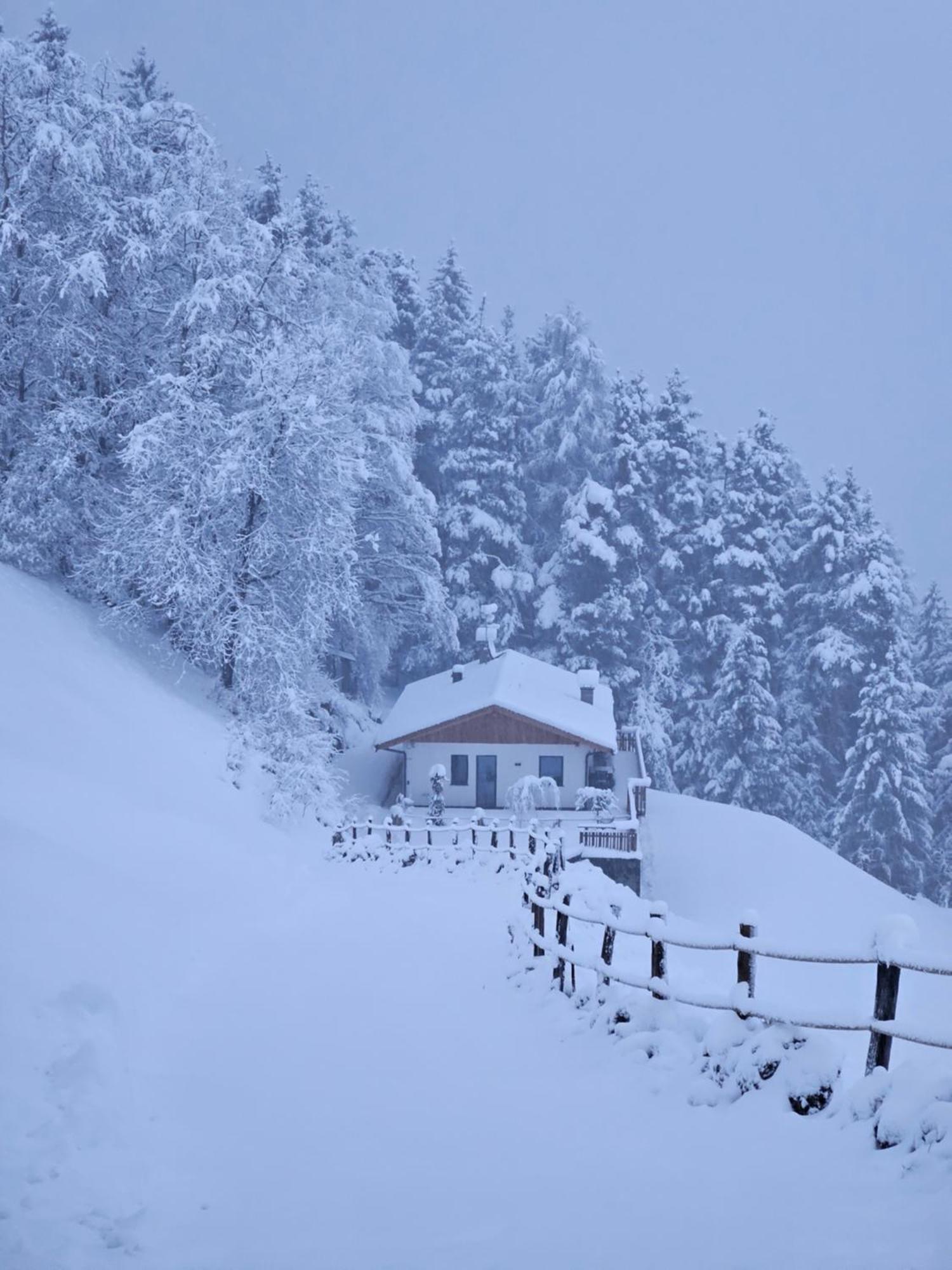 Alone In Chalet With View On Dolomites ヴィッランドロ エクステリア 写真
